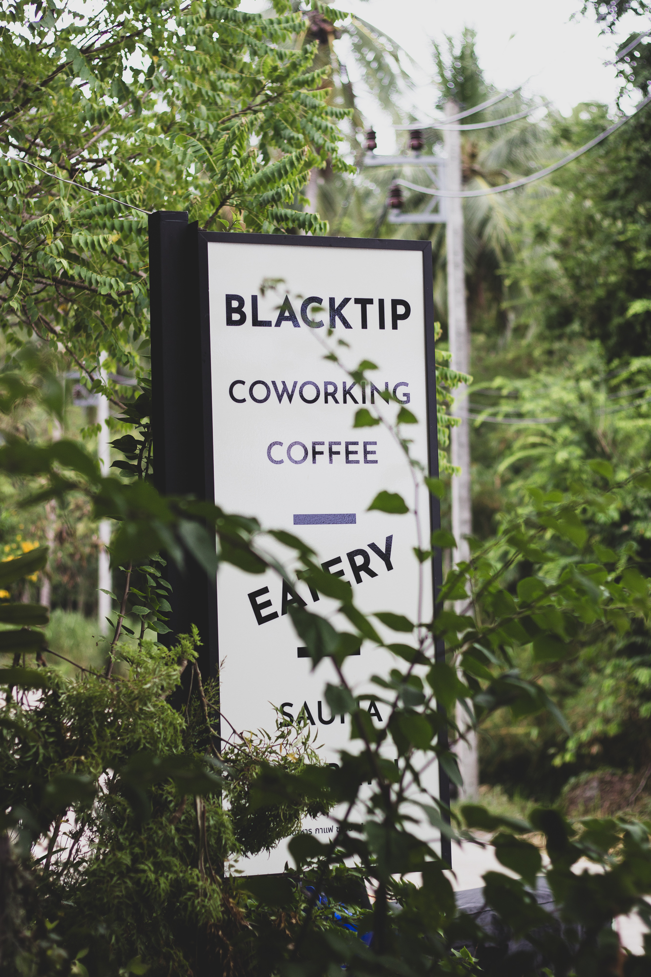 Blacktip Café & Workspace logo