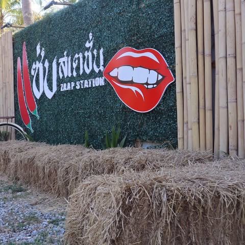 Zaap Station Kohtao | Ban Ko Tao logo