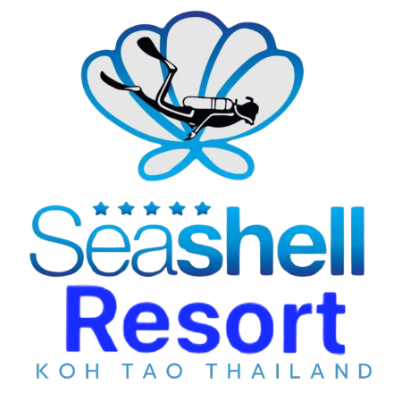 Seashell Cafe Bar and Restaurant logo